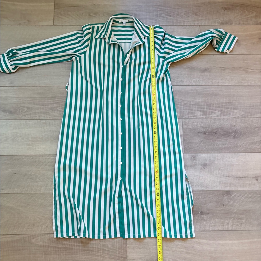 Green Striped Button-Down Dress - Picture 6 of 6